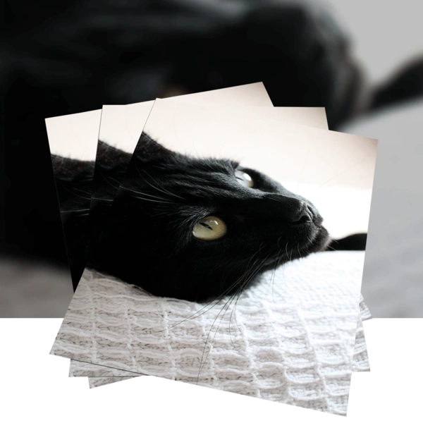 Posters Product Image